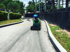 -圣淘沙天际线斜坡滑车