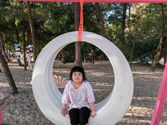 -玫瑰海岸文化旅游度假区
