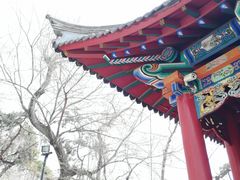 -北山公园