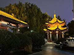 -杜甫江阁