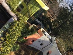 -三鹰之森吉卜力美术馆