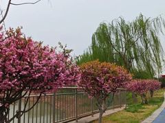 -玲珑塔公园