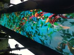 东部华侨城-东部华侨城