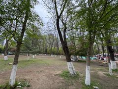 -长白岛森林公园