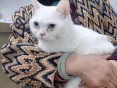 -宠颐生嘉德动物医院