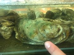 -蟹皇海鲜餐厅