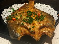 -九府羊·鲜羊火锅·烤串(新华路店)