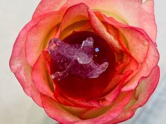 -虹御轩·传承江浙菜(虹桥店)