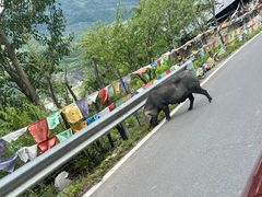 -硗碛藏寨·神木垒景区