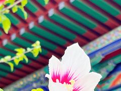 -即墨古城