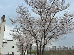 -洋湖国家湿地公园