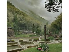 -MOJ coffee(瓯海泽雅水碓坑店)