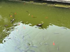 -宁波市保国寺古建筑博物馆