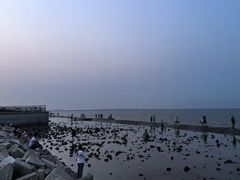 -天津东疆湾沙滩景区
