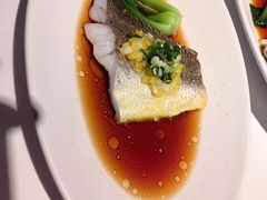 -鹿园 MOOSE(长宁店)
