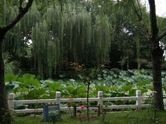 android_upload_pic-楚秀园