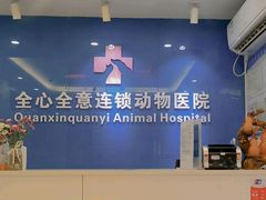 -全心全意连锁动物医院·微创中心·内科急重症·心脏专科(丰管路店)