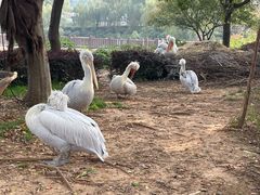 -无锡动物园·太湖欢乐园