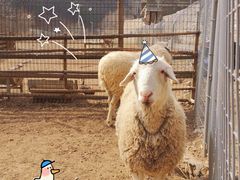 -北京山里寒舍度假酒店