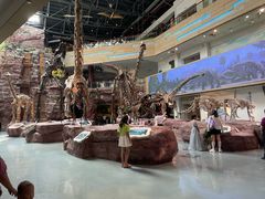 -安徽省地质博物馆