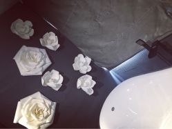 -THANN EXPRESS SPA