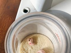 -自然之声助听器·呼吸机(兰考店)