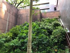 -香港大学