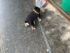 -恒康宠物医院(司背后街店)