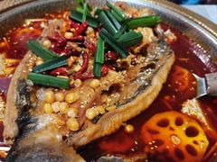 -肥家大排档(天河体育西店)
