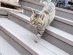 -正阳书局(西四南大街店)