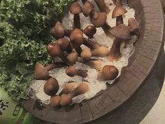 -山悦里 山野·鲜火锅(罗斯福广场店)