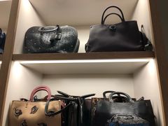 -COACH蔻驰(赛特奥特莱斯店)