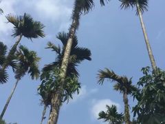 -呀诺达热带雨林