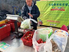 -大自然农场蔬菜草莓采摘园