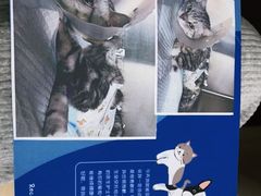 -纳吉亚猫专科动物医院博雅分院