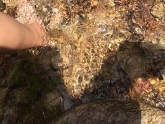 -黑龙潭风景区