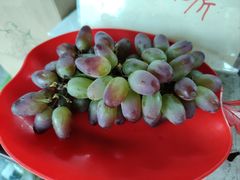 -马陆小张葡萄园农家乐