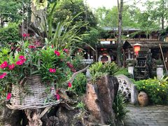 -青城甲(青城山店)