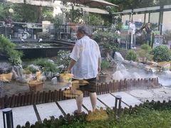 -蘇河湾·新鲁菜·泰山宴(泰山店)