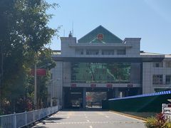 -打洛口岸