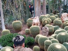 -北京植物园-展览温室