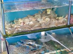 -阿弟特色海鲜餐厅·大排档(平潭店)