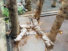 -Metal hands·铁手咖啡