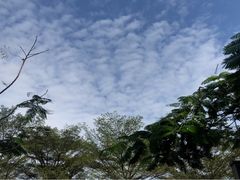 -火炉山森林公园