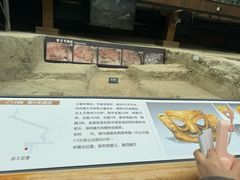 -金沙遗址博物馆