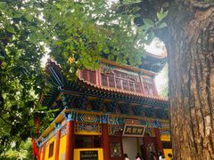 -宝通禅寺