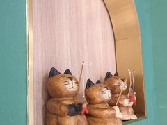 -飞行喵MR PILOT|猫舍·猫咖(静安大融城店)