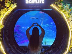 -沈阳海洋探索中心