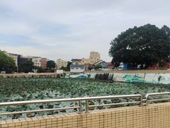-大旗头古村