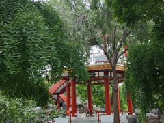 -莲花池公园